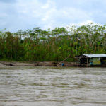 Encuentran altos niveles de mercurio en el Amazonas