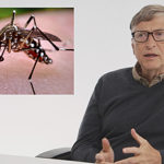 ¿Sabe cuántas personas mueren en el mundo por causa de los mosquitos? Se los cuenta Bill Gates