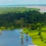 Nueva alianza científica para monitorear el Amazonas