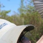 Y...quién sabe, como medir la biodiversidad?