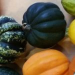 Lanzan proyecto Calabaza para atraer investigadores de todo el mundo