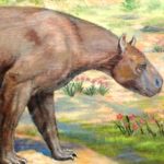Libro sobre las especies de animales que habitaron Suramérica