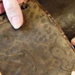 Con cáscaras de huevo hacen material para producir llantas