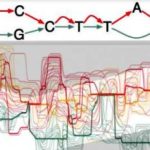 Brasil abre base de datos a investigadores del genoma humano