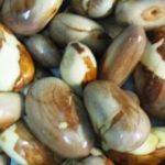 La Jaca, una especie con potencial para sustituir el cacao