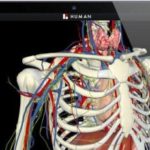 Una aplicación con 3 mil componentes de la anatomía humana