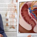 Centro virtual de anatomía, al servicio de los profesores del mundo