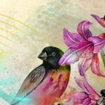El músico que grabó los sonidos de 15 mil especies de animales