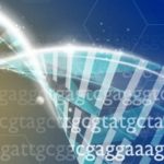 Nuevos materiales para la enseñanza del genoma humano