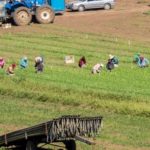 El Indice Global de la Esclavitud Moderna