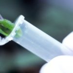 Abren 10 mil archivos en renombrado laboratorio de NY