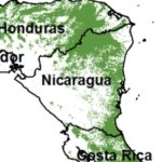 La narco-deforestación en Centroamérica
