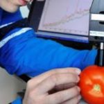 Nueva herramienta para probar madurez en vegetales