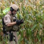 US$51.000 millones/año, cuesta la guerra contra las drogas