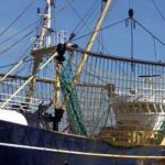 Cual es la pesca de arrastre, menos perjudicial?