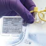 Novedoso tratamiento contra la leucemia