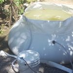 Novedoso sistema para cultivar peces en casa
