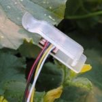 Un nuevo sensor que mide hidratación de las plantas