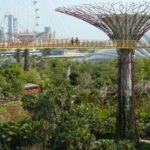 Jardines botánicos, solo conservan 1/4 parte de especies tropicales