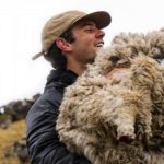Lanzan confecciones, con lana de alpaca del Perú