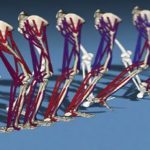 Crean simulador de los movimientos humanos