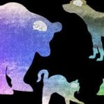 Cuál de los carnívoros tiene más neuronas?