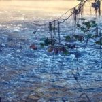 Fertilizantes, hacen más salada el agua de los rios