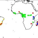 Arman el árbol genealógico de los bosques tropicales