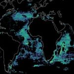 Flotas de 5 países acaparan la pesca mundial