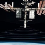 Un satélite para rastrear los animales del planeta