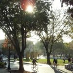 Sobre más de 2.800 ideas, U. de Stanford perfila su futuro