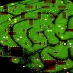 Inventan un estetoscopio para medir ondas del cerebro