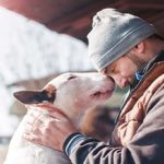 Los perros Sí, se parecen a sus dueños