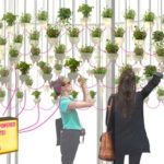 Obteniendo electricidad de las raíces de las plantas