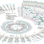 Logran secuenciar los genes de 33 tipos de cáncer