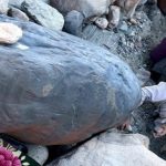 Salopek, se tropieza con nómadas buscadores de oro