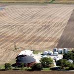 Quién pierde más.. en el comercio agrícola mundial?