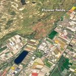 Los satélites y el colorido de los campos holandeses