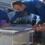 Convirtiendo aire, en agua potable, en el desierto