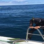 El hombre que nadará hasta el basurero del Pacífico