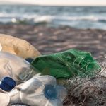 China deja de comprar basura plástica