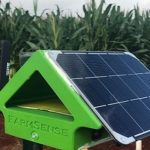 Nueva técnica para detectar plagas de insectos