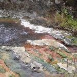Cuentan las bacterias existentes en el planeta