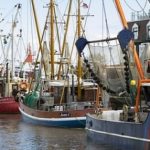 Pesqueros : viajan más, y capturan mucho menos