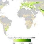 Banco de Datos: sobre nutrición y rendimiento de 175 cultivos