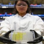 Prueba que detecta la resistencia a variedad de antibióticos