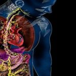 Qué sabe usted de las neuronas que viven en el estómago?