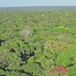 Solo una quinta parte de la tierra..permanece intacta