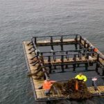 Llevando la trucha de agua dulce.. a crecer en alta mar