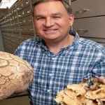 Identifican más de 40 mil variedades de hongos